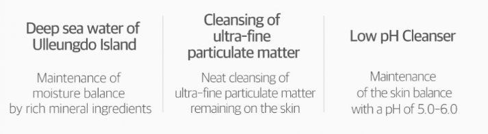 Round Lab 1025 Dokdo Cleanser