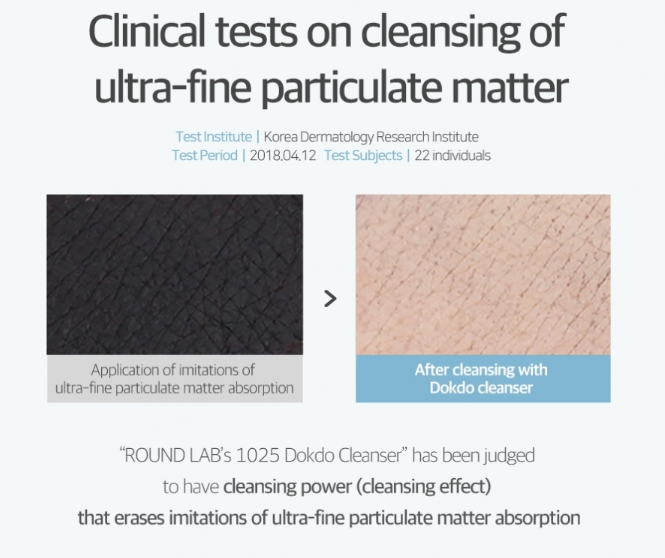 Round Lab 1025 Dokdo Cleanser