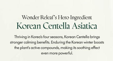 Purito Seoul Wonder Releaf Centella Daily Sun Lotion