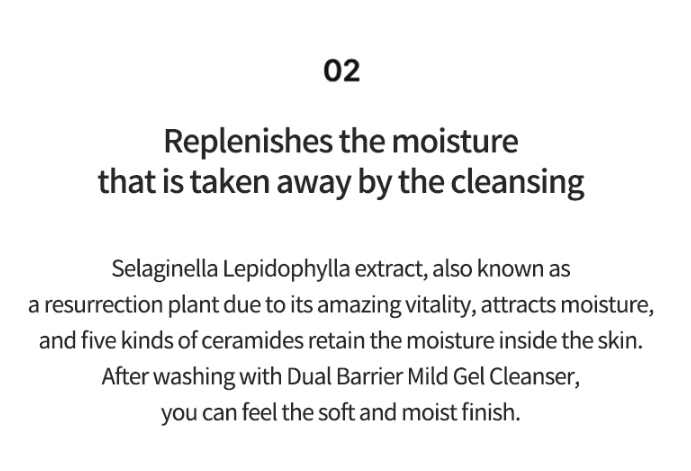 Celimax Dual Barrier Mild Gel Cleanser