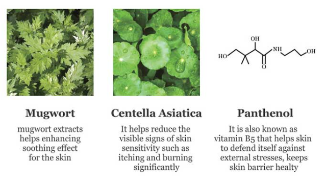 Beauty Of Joseon Calming serum : Green Tea + Panthenol