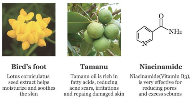 Beauty Of Joseon Glow Serum: Propolis+Niacinamide